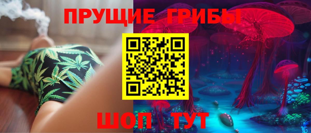 Псилоцибиновые грибы Psilocybe Кизилюрт