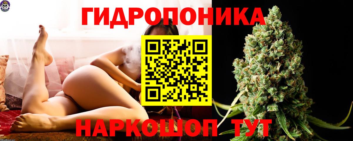Марихуана White Widow  МАРИХУАНА Amnesia  Кизилюрт  Вход с VPN  МАРИХУАНА тримм 